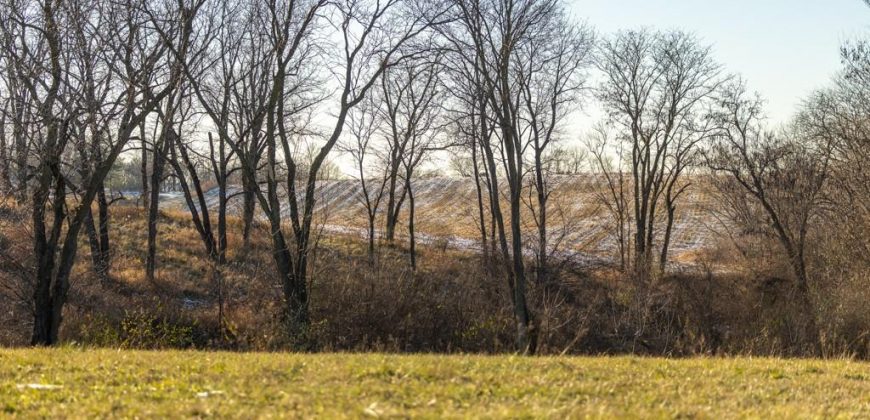 Homes for Sale in Platte City, MO 64079 | 14030  Ode Road