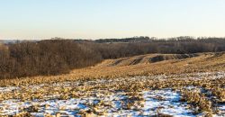 Homes for Sale in Platte City, MO 64079 | 14030  Ode Road