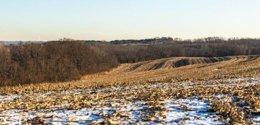 Homes for Sale in Platte City, MO 64079 | 14030  Ode Road