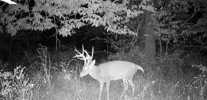 Homes for Sale in Platte City, MO 64079 | 14030  Ode Road