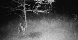 Homes for Sale in Platte City, MO 64079 | 14030  Ode Road