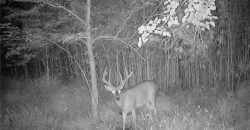 Homes for Sale in Platte City, MO 64079 | 14030  Ode Road