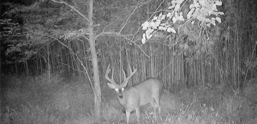 Homes for Sale in Platte City, MO 64079 | 14030  Ode Road