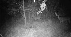 Homes for Sale in Platte City, MO 64079 | 14030  Ode Road