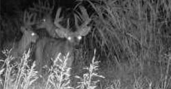 Homes for Sale in Platte City, MO 64079 | 14030  Ode Road