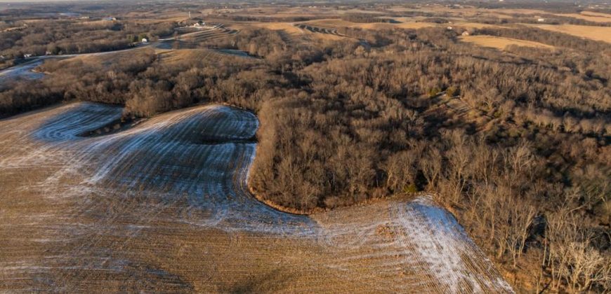 Homes for Sale in Platte City, MO 64079 | 14030  Ode Road