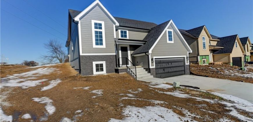 Homes for Sale in Kansas City, MO 64153 | 6500 NW 98th Street