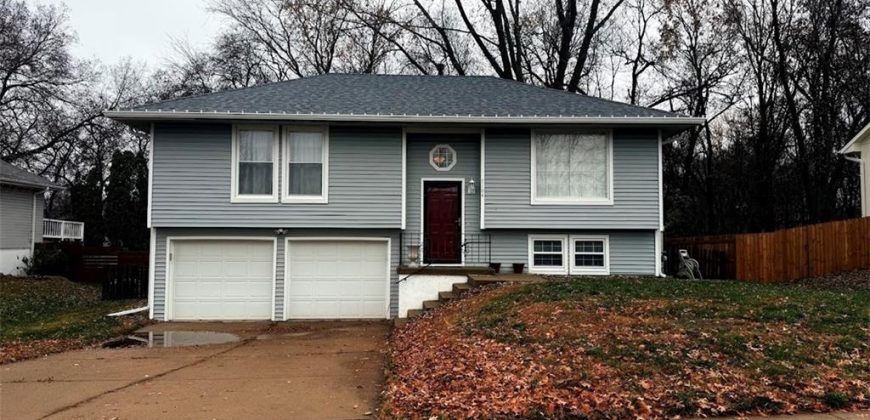 Homes for Sale in Pleasant Valley, MO 64068 | 7104  Michael Lane