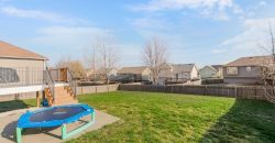 Homes for Sale in Kansas City, MO 64157 | 10115 N McKinley Avenue