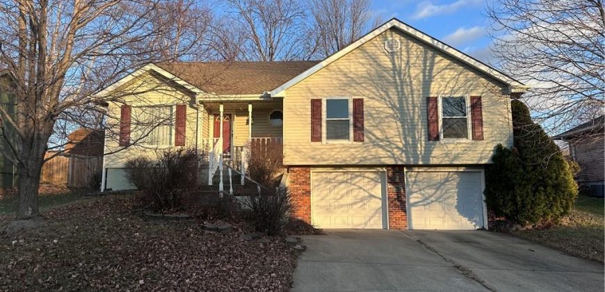 Homes for Sale in Pleasant Valley, MO 64068 | 6913  T Gabbert Drive