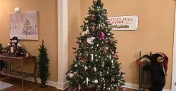 Homes for Sale in Excelsior Springs, MO 64024 | 1113  Melanie Street