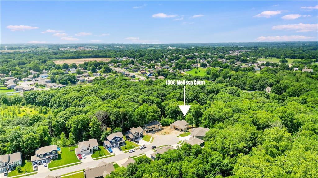 Homes for Sale in Kearney, MO 64060 | 1300  Melissa Court