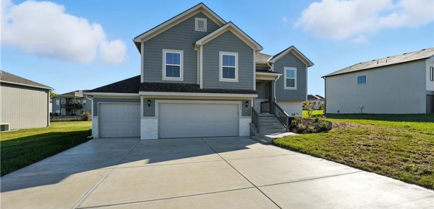 Homes for Sale in Kansas City, MO 64165 | 1222 NE 122nd Street