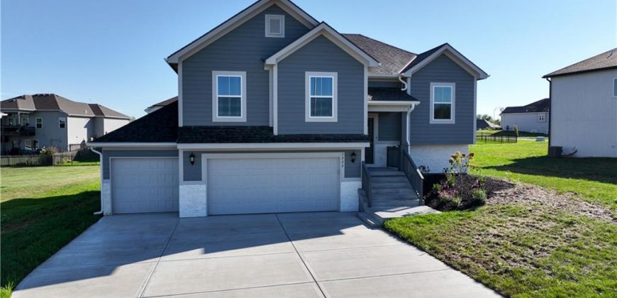 Homes for Sale in Kansas City, MO 64165 | 1222 NE 122nd Street