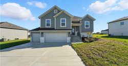 Homes for Sale in Kansas City, MO 64165 | 1222 NE 122nd Street