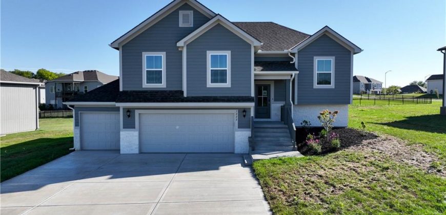 Homes for Sale in Kansas City, MO 64165 | 1222 NE 122nd Street