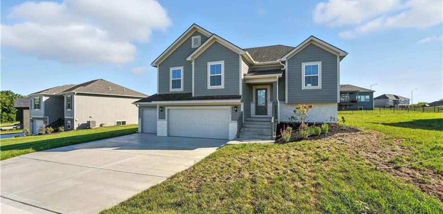 Homes for Sale in Kansas City, MO 64165 | 1222 NE 122nd Street