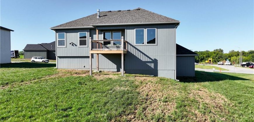 Homes for Sale in Kansas City, MO 64165 | 1222 NE 122nd Street