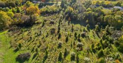 Homes for Sale in Holt, MO 64048 | 15806 NE 176th Street