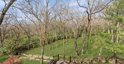 Homes for Sale in Parkville, MO 64152 | 6650 NW MONTICELLO Drive