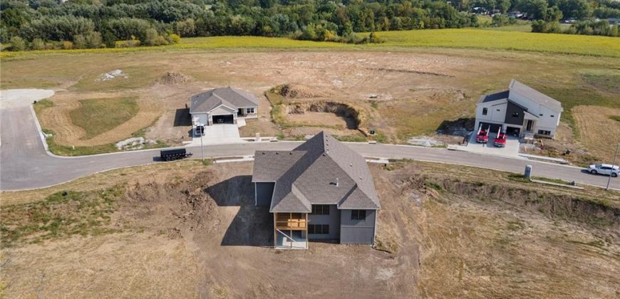 Homes for Sale in Lawson, MO 64062 | 456  Green Drive