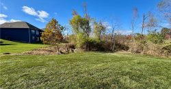 Homes for Sale in Kansas City, MO 64157 | 10022 N Oakland Avenue