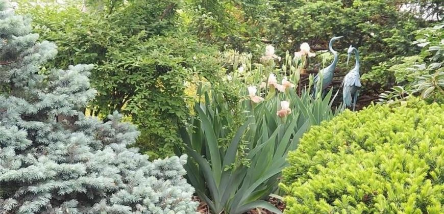 Homes for Sale in Kansas City, MO 64118 | 2101 NE 62nd Street