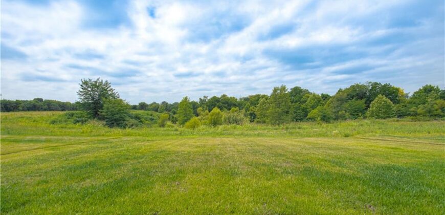 Homes for Sale in Platte City, MO 64079 | 12445  Appaloosa Street