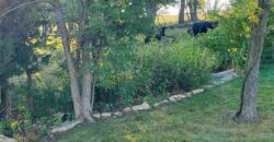 Homes for Sale in Platte City, MO 64079 | 2305  Windmill Drive