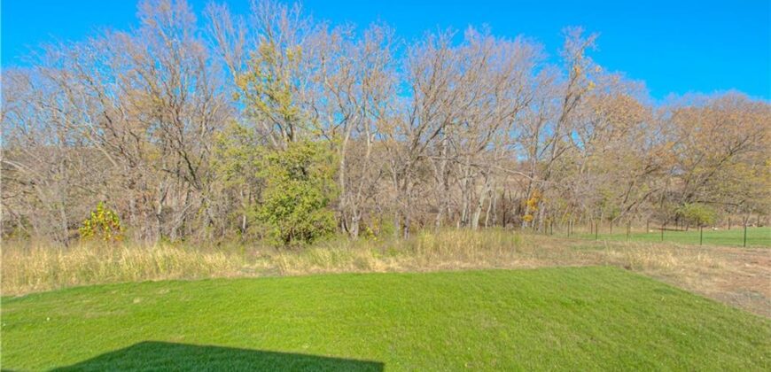 Homes for Sale in Platte City, MO 64079 | 12435  Appaloosa Street