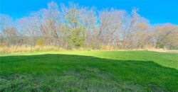 Homes for Sale in Platte City, MO 64079 | 12435  Appaloosa Street