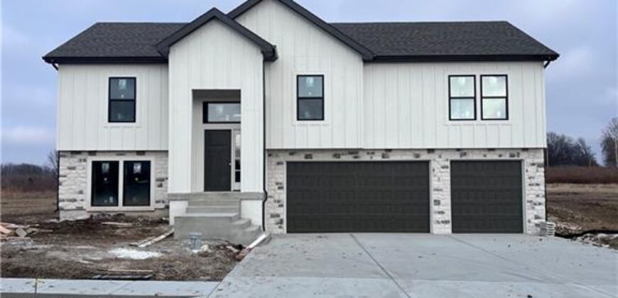 Homes for Sale in Lawson, MO 64062 | 465  Green Drive