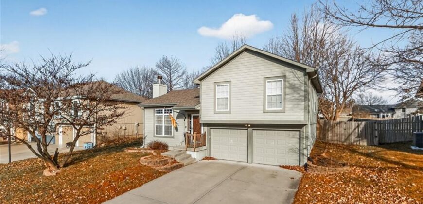 Homes for Sale in Smithville, MO 64089 | 303  Porter Drive