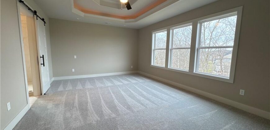 18000 N Peach Blossom Drive, Platte City, MO 64079