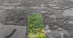 13216 Vines Road, Kearney, MO 64060