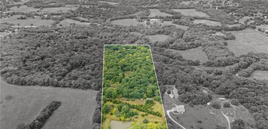 13216 Vines Road, Kearney, MO 64060