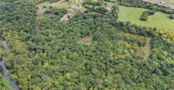 13216 Vines Road, Kearney, MO 64060