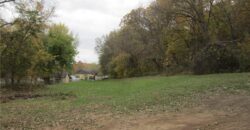 1219 Paton Street, Excelsior Springs, MO 64024