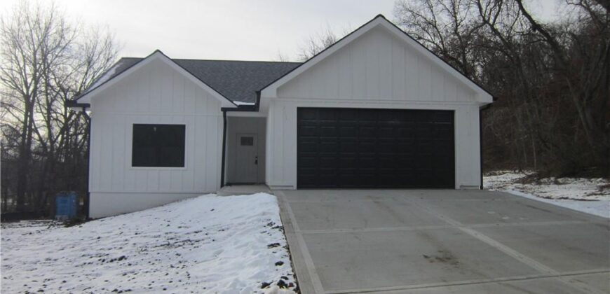 1219 Paton Street, Excelsior Springs, MO 64024