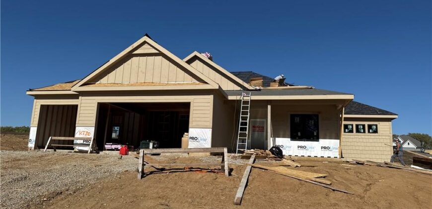 12730 NW Larkspur Lane, Platte City, MO 64079