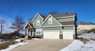 8820 NE 94th Street, Kansas City, MO 64157