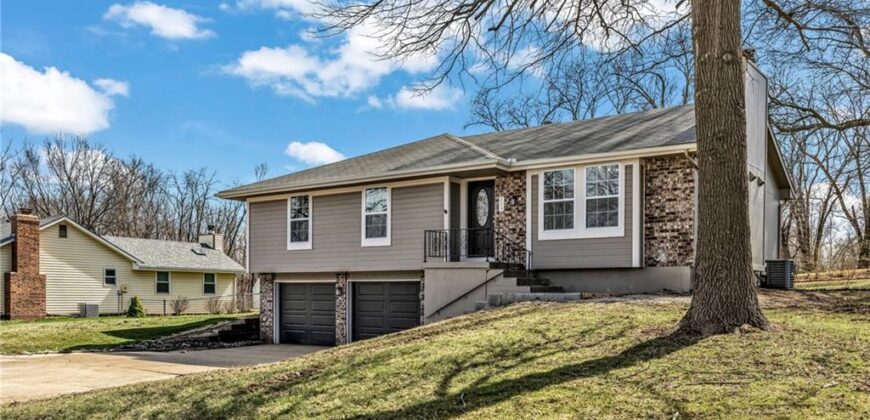 519 NE 112th Terrace, Kansas City, MO 64155