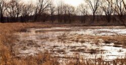 21195 Edgerton Junction Road, Dearborn, MO 64439
