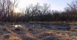 21195 Edgerton Junction Road, Dearborn, MO 64439