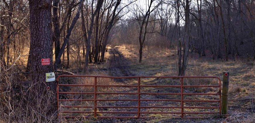 21195 Edgerton Junction Road, Dearborn, MO 64439