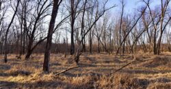 21195 Edgerton Junction Road, Dearborn, MO 64439