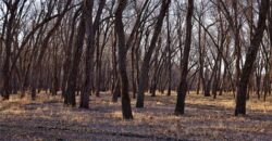 21195 Edgerton Junction Road, Dearborn, MO 64439