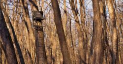 21195 Edgerton Junction Road, Dearborn, MO 64439