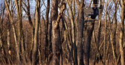 21195 Edgerton Junction Road, Dearborn, MO 64439