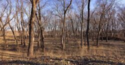 21195 Edgerton Junction Road, Dearborn, MO 64439